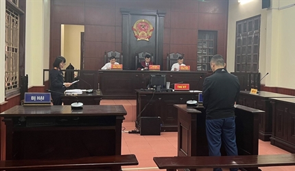 Viện KSND thị xã Sơn Tây và các huyện Chương Mỹ, Sóc Sơn phối hợp với...